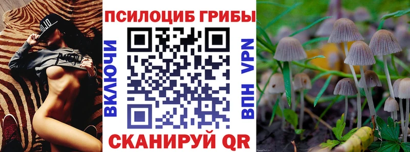 Купить  Куртамыш  Псилоцибиновые грибы MAGIC MUSHROOMS 